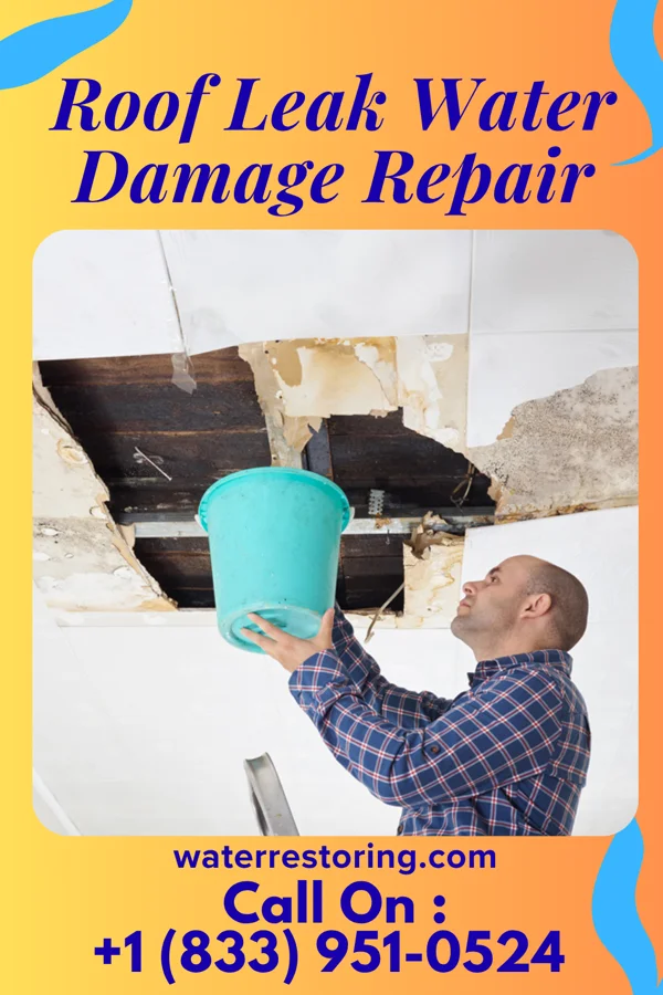 Roof Leak Water Damage Repair in Early, IA