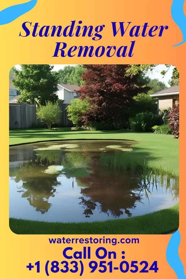 Standing Water Removal in Early, IA